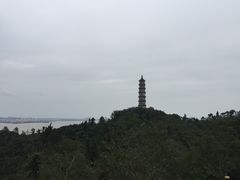 -巢湖姥山岛