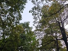 -海珠湖公园