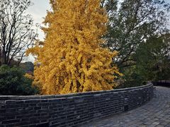 -虞山城墙