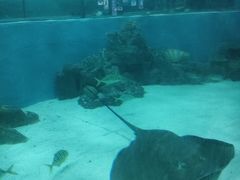 -苏州海洋馆