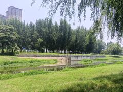 -西吴河科普公园