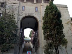 -武汉大学-樱园