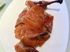 -圆苑(兴国路店)