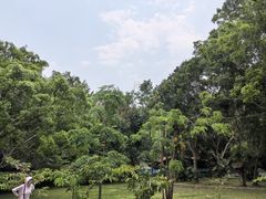 -野象谷景区