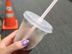 -罗汉果龙眼冰糖燉冬瓜