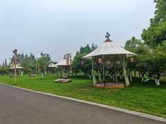 -长田漾湿地公园