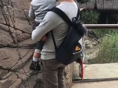 -威勒比开放式动物园