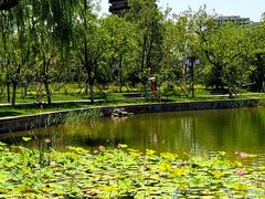 -西海子公园