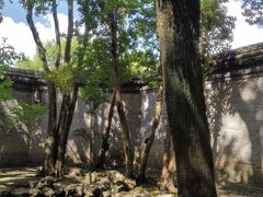 -天一阁博物院