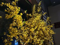-上足·影院足道·SPA(红岭店)