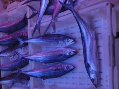 海鱼-生鲜便民超市(蚌埠店)