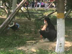 -回龙观体育文化公园