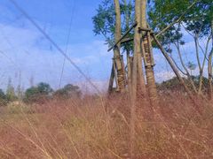 -白鹭湾湿地公园