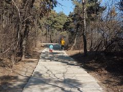 -樱桃山旅游景区