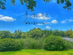 -渤公岛生态公园