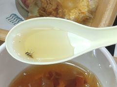 -麻小劲菌汤麻辣烫(体育西路店)