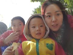 -重庆市江北嘴中央商务区中央公园