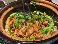 肥肠煲-煲煲好(朝阳门店)
