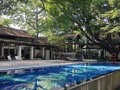 -喜洲吧·江畔老船厂·庭院餐厅(喜临院店)