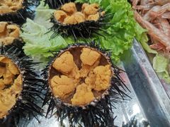 活海胆-旺角小渔村(幸福中路店)