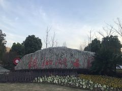 -南翔镇银翔湖公园