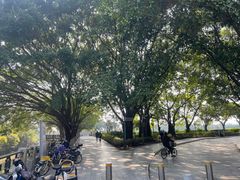 -黄埔古港