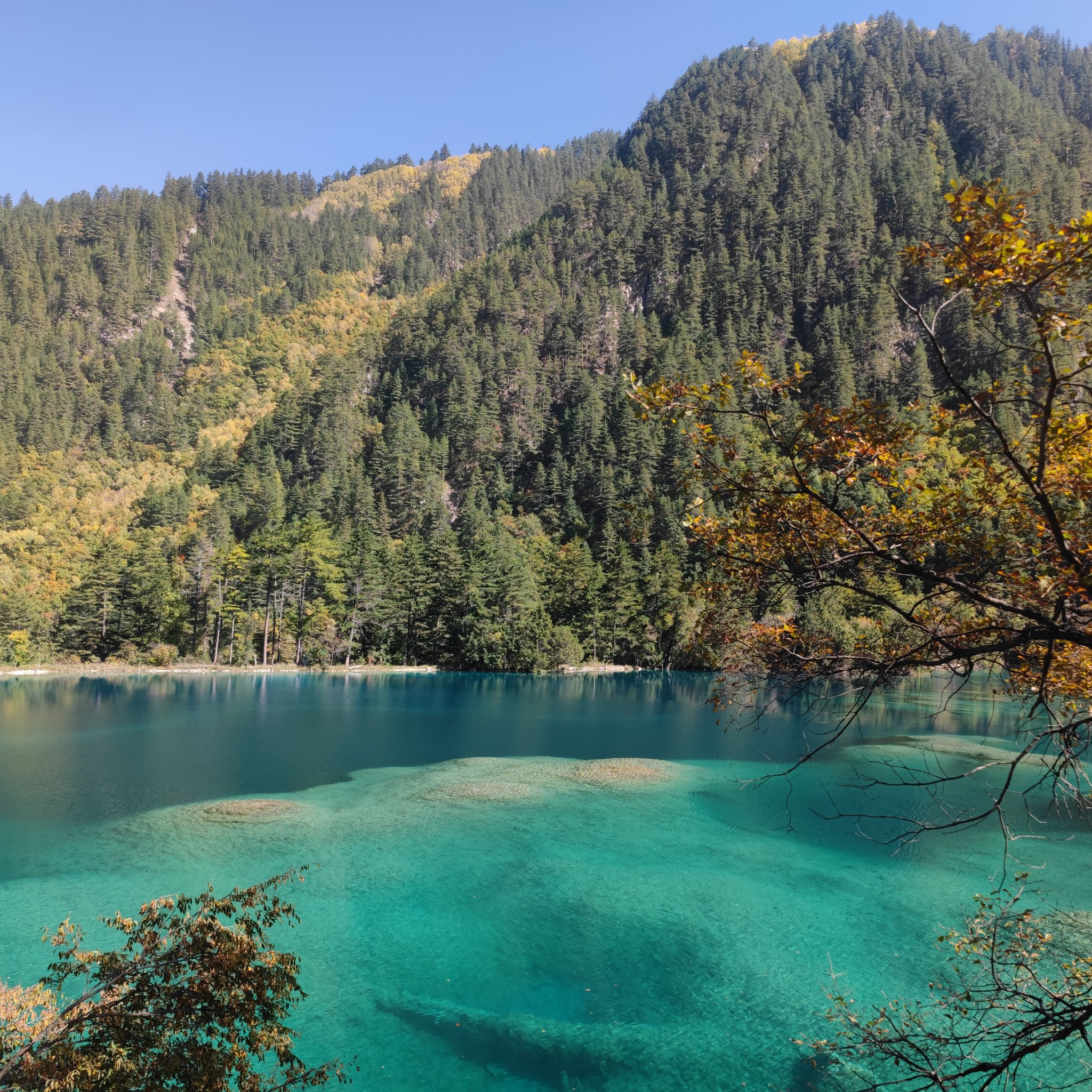 大自然的绝美风景