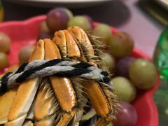 -乡乐园蟹庄·阳澄湖农家乐