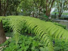 -北外滩滨江绿地