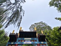 -环城公园