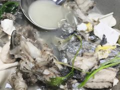 -荔枝红五号农庄