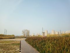 -永定河休闲森林公园