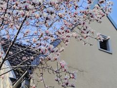 -颐和路民国时期公馆风貌区