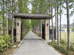 -上海长兴岛郊野公园