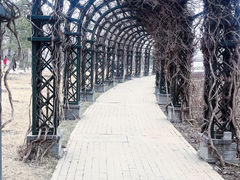 -水西公园