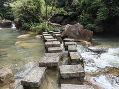 -广州白江湖森林公园