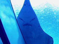 -珠海长隆海洋王国