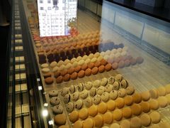 -BLACKSWAN黑天鹅(环球店)