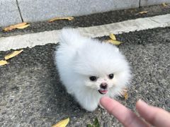 -东莞植物园