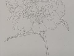 -八哥美术·成人美术画室(总校区)