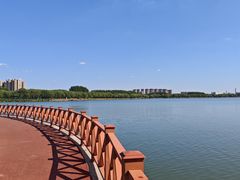 -丁香湖公园