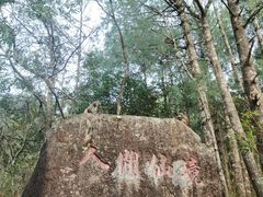 -姑婆山旅游区