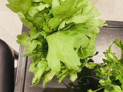 -浩爷羊蝎子火锅(望京店)