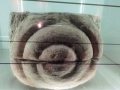 -乐山市博物馆