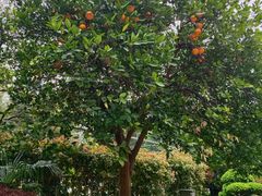 -张江润和国际总部园