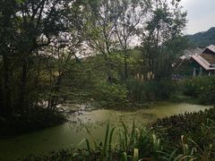 -西湖风景区-江洋畈生态公园