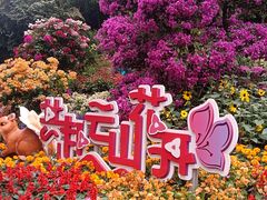 -桃花涧