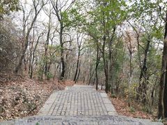 -紫金山索道-售票处