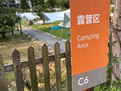 -前小桔亲子创意农场·草莓采摘·露营烧烤