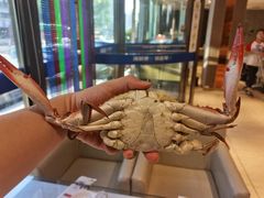 -小郭私房菜·海肠捞饭店(学士街店)